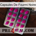 Black Ant Capsules 10